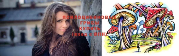 apvp Балахна