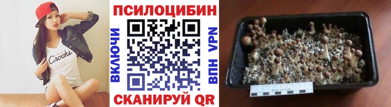 Псилоцибиновые грибы прущие грибы  Щёлкино 